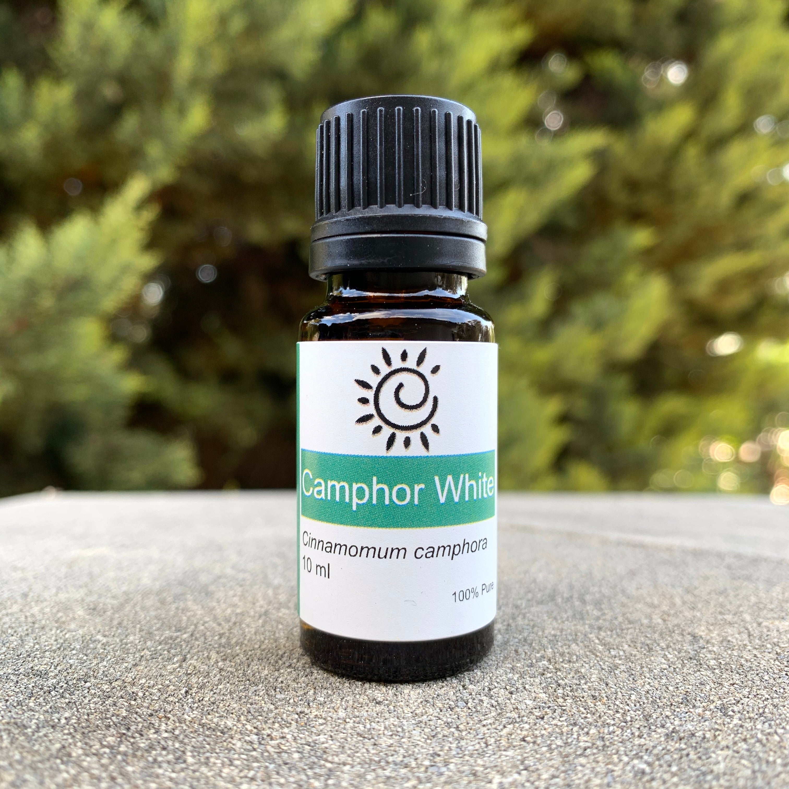 Camphor White Essential Oil Elena Bath and Body