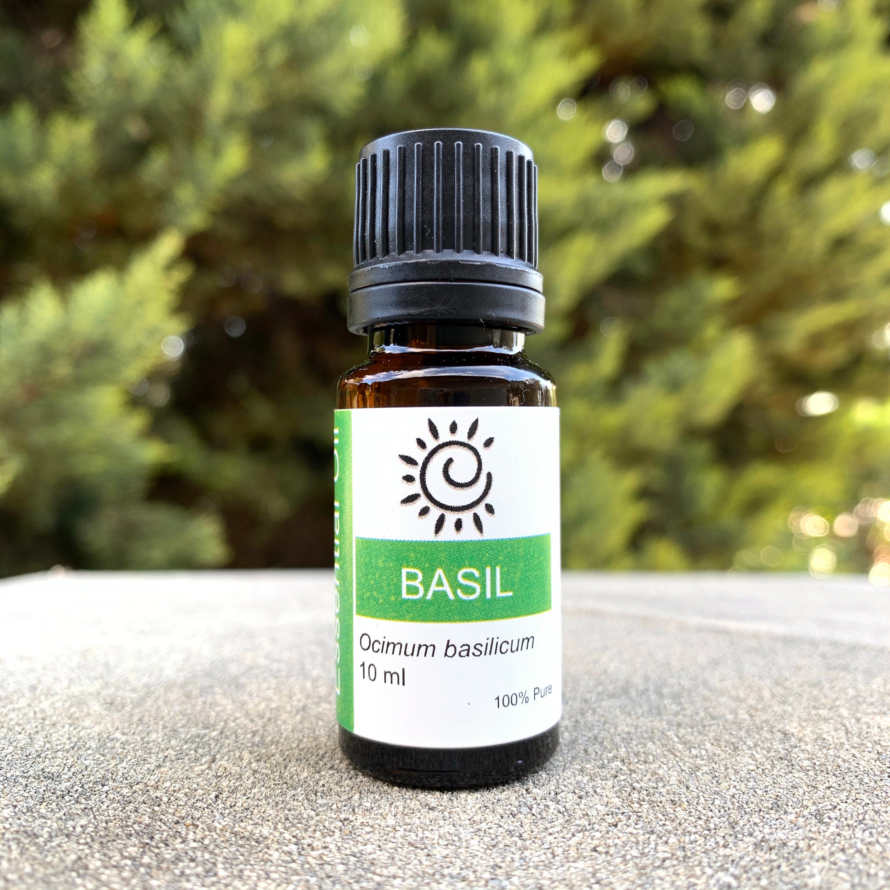 Basil Essential Oil Elena Bath and Body