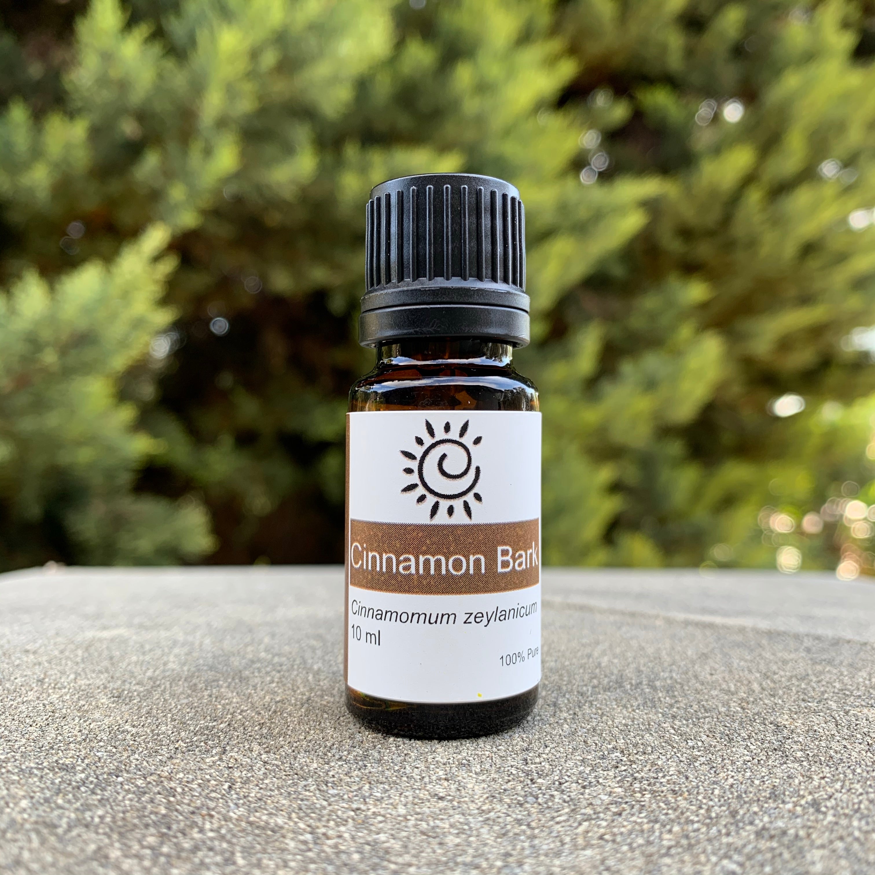 Cinnamon Essential Oil, Cinnamomum zeylanicum 115