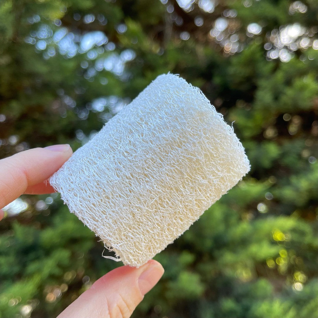 Loofah Sponge-Natural Loofah-Elena Bath and Body-Baby Size-natural-gentle-soap-for-sensitive-skin-dry-skin-eczema-acne-hand-made-in-australia